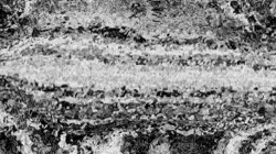 bk movie texture exp 1 :: orientabstraction2