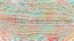 msg paint tests :: alphatest2