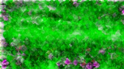 image: image from test 2
