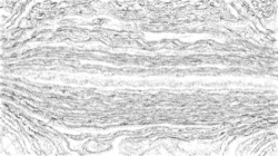pencils :: edgeautodraw1