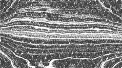 pencils :: pencilshader2