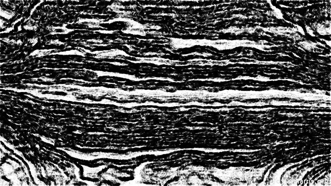 bwsoftsketcher3a