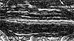 sketch effects 1 :: bwsoftedgesketcher3
