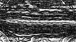 sketch effects 1 :: bwsoftsketcher3a