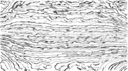 sketch effects 1 :: edgescanbwsketchex1