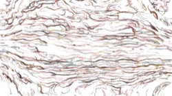 sketch effects 1 :: edgesketcher2