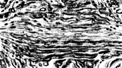 sketch effects 1 :: orientpeninkbuild1