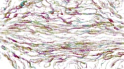sketch effects 1 :: psychoflowedger1