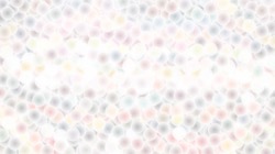 soft styles :: smoothlipairbrush1