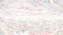 soft styles :: softtexture