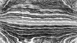 image: image from rough sketch
