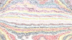 image: image from sponges