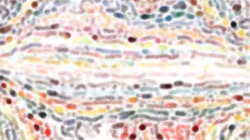 image: image from cd media presets 2002