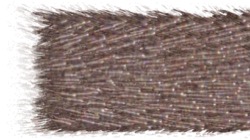 image: image from chuck's shooting stars