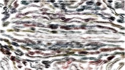 image: image from creative mac charcoal rubbing