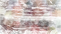 image: image from creative mac charcoal rubbing