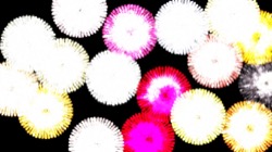 image: image from nagal series 03