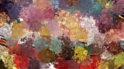 image: image from nagal series 06