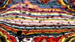 image: image from nagal series 12