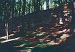 image: Image from the photoset &lsquo;photographer&nbsp;x&nbsp;(ix) a)&rsquo;.
