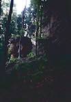 image: Image from the photoset &lsquo;photographer&nbsp;x&nbsp;(ix) a)&rsquo;.